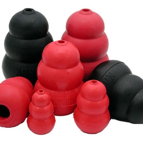 A Case for Kongs